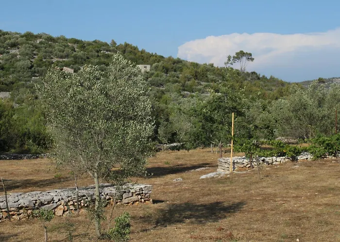 Secluded House Cove Jaz - Telascica, Dugi Otok - 8176 בית נופש